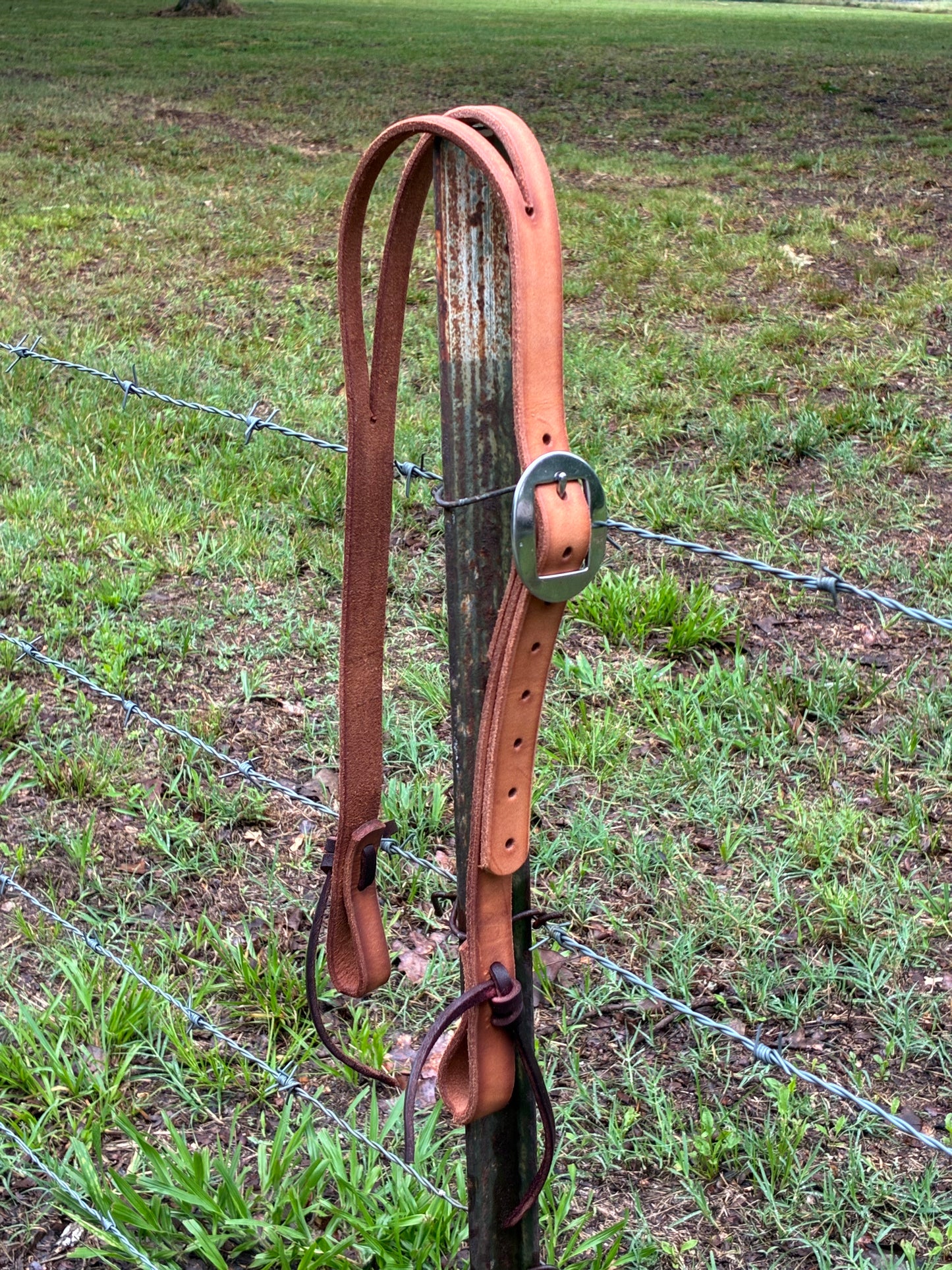 1" Split Ear Headstall