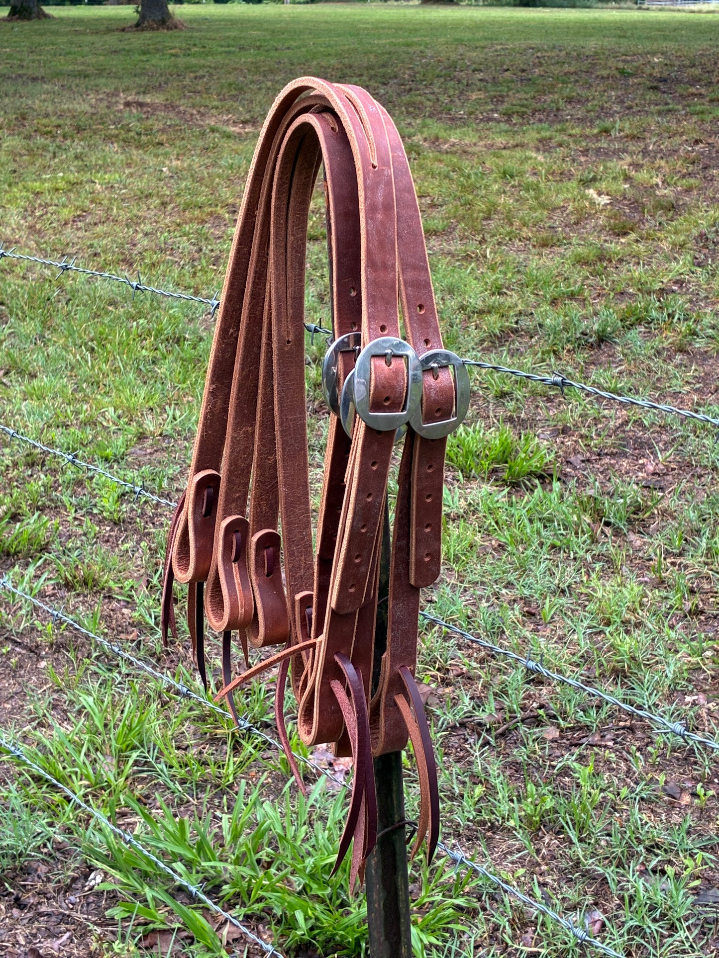 1" split ear headstall